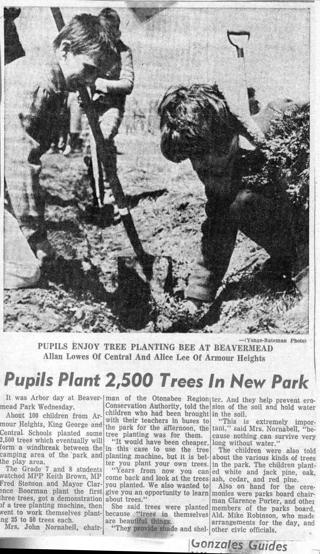 1962_or_1963_Alice_Lee_planting_trees.jpg