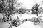 1958_January_Euclid_Street behind Caddy from backyard 268.jpg